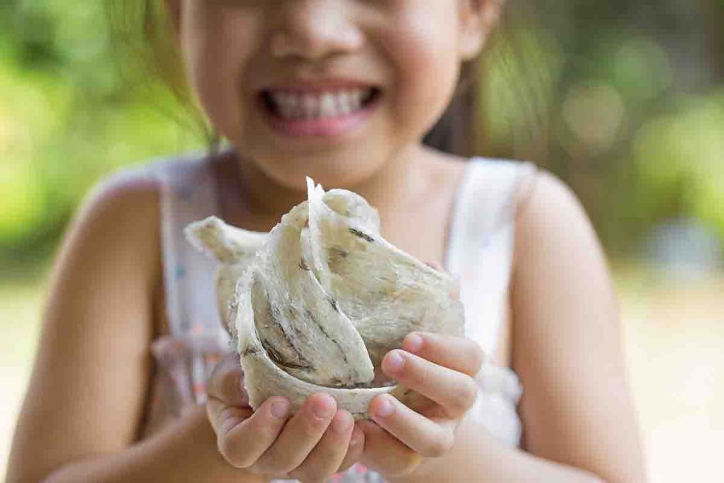 A partial view of a little girl smiling while holding bird’s nests in her hands