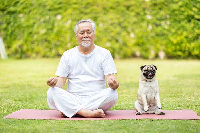 An elderly man in meditating pose, with his dog sitting next to him