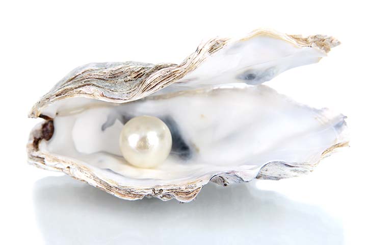 White pearl in oyster shells