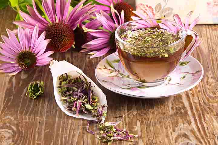 A cup of tea brewed with echinacea displayed with the herb on a wooden surface
