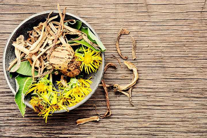 Inula flower and roots in a bowl on a wooden table