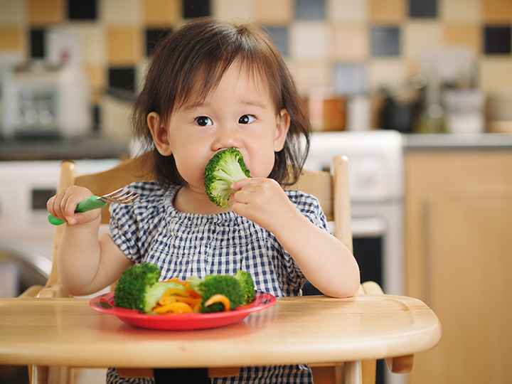 A child sitting in a highchair eating a piece of broccoli