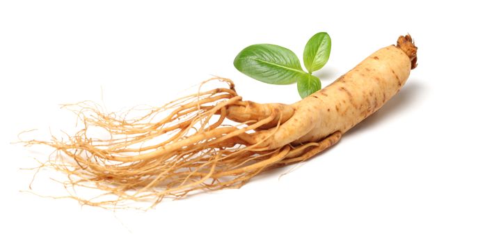 Ginseng root on a white background