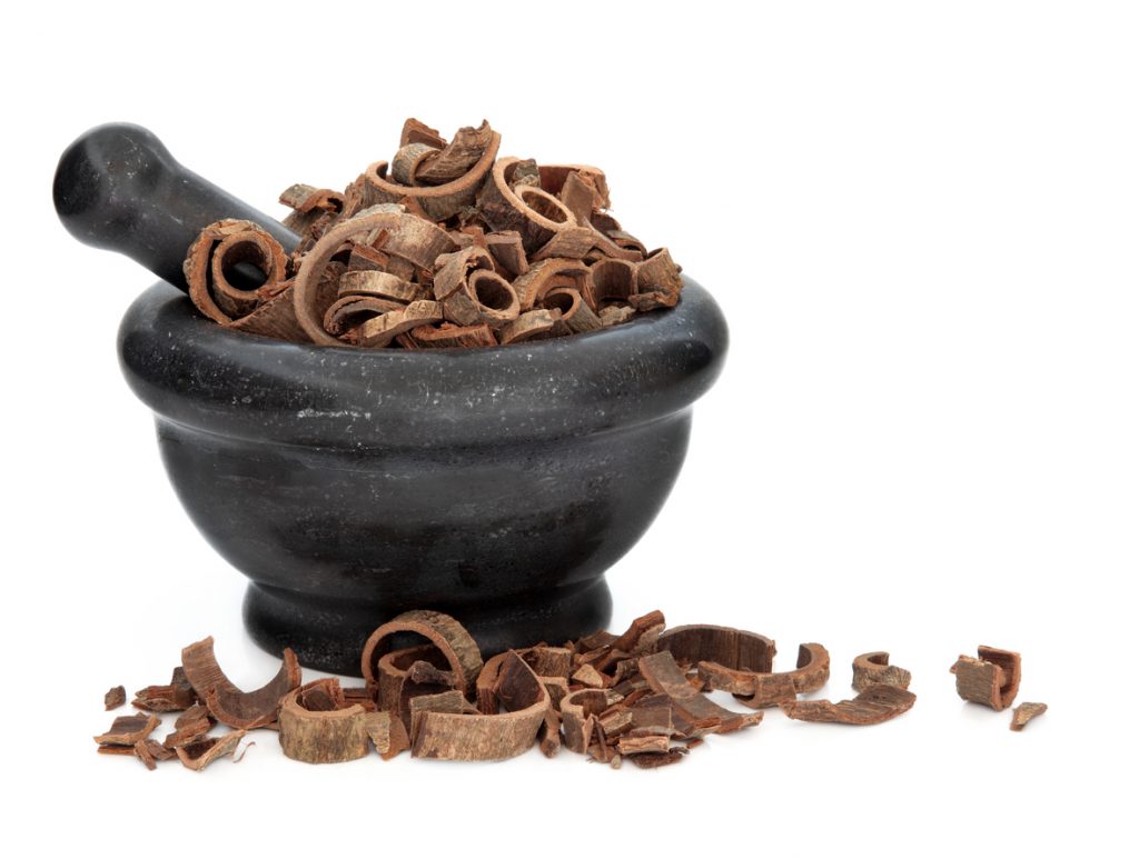 Officinal Magnolia Bark used in traditional chinese herbal medicine in a black marble mortar with pestle over white background