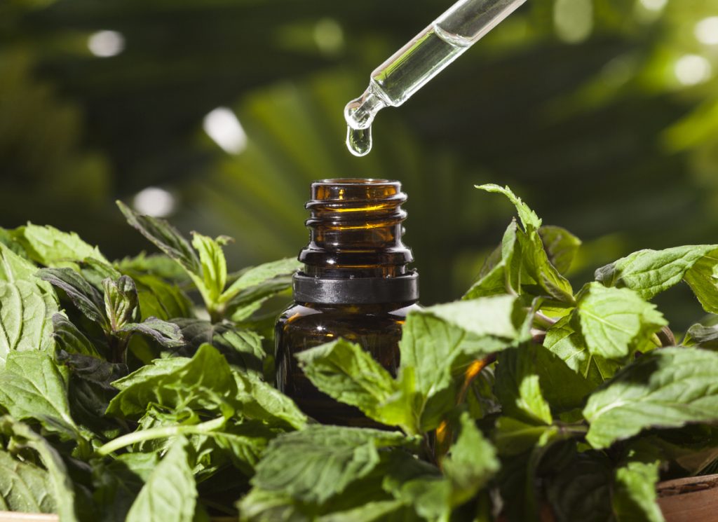 Peppermint Essential Oil in Aromatherapy