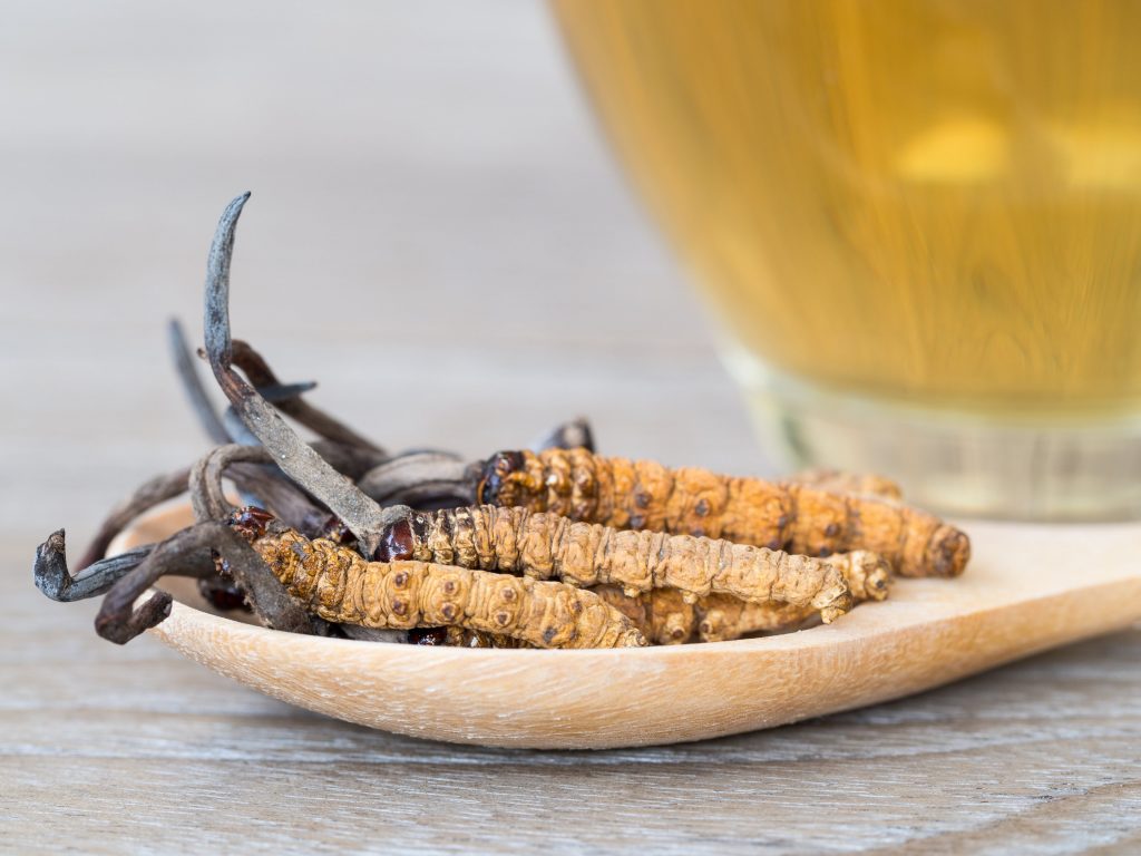 a close-up shot of cordyceps on a wooden spoon near a cup of tea