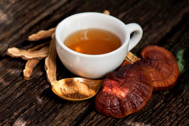 Reishi mushroom with a cup of lingzhi tea and powder on a wooden table
