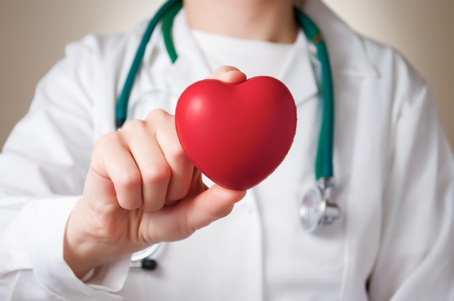 A doctor with white lab coat holding a red heart